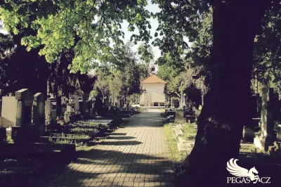 Krčský hřbitov (Praha-Krč)